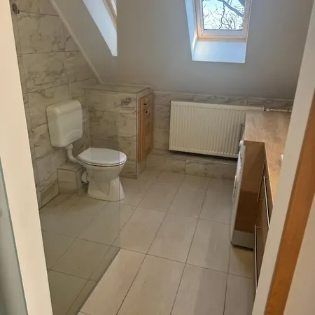 Apartment Borsi *